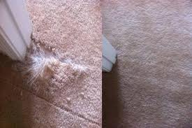 carpet-repair.jpg